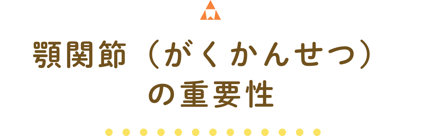 顎関節の重要性